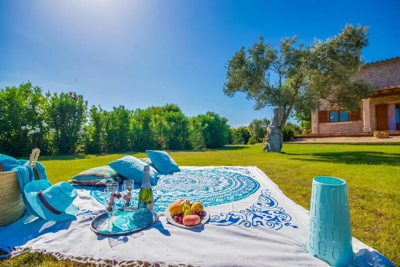 Ideal Property Mallorca - Ses Poves Alcudia  0*, Alcudia (Mallorca)
